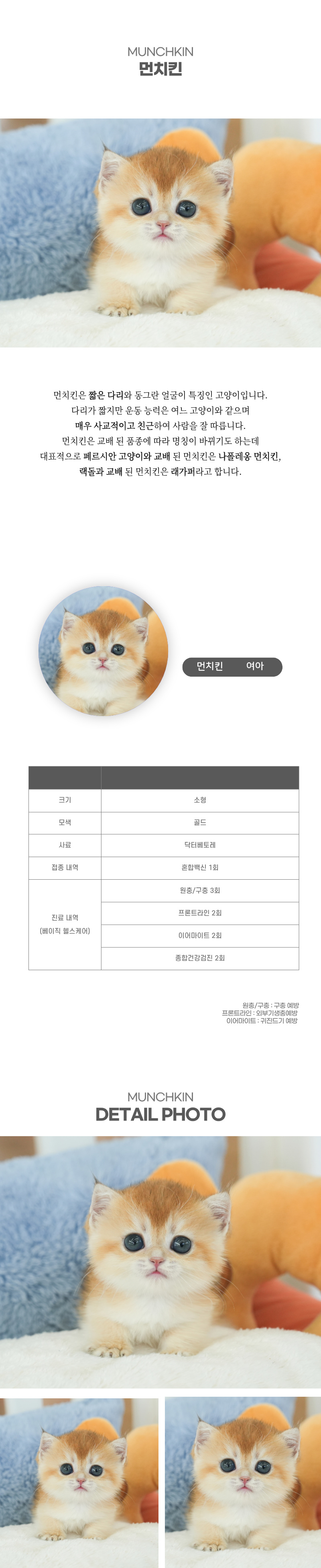 먼치킨_상세이미지_2